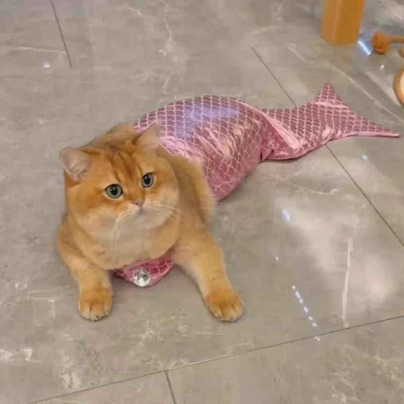 Pet Cat Mermaid Pet Costume Dog Dresses Funny Swimsuit Fish Tail Design Cute Bikini Dog Summer Pet Halloween Clothing